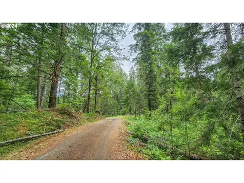 6395 Coos Bay Wagon Road Roseburg OR 97471