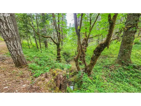 6395 Coos Bay Wagon Road Roseburg OR 97471