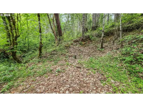 6395 Coos Bay Wagon Road Roseburg OR 97471