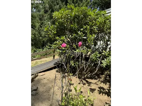 92553 Cascade Lane Coos Bay OR 97420