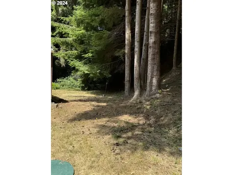 92553 Cascade Lane Coos Bay OR 97420
