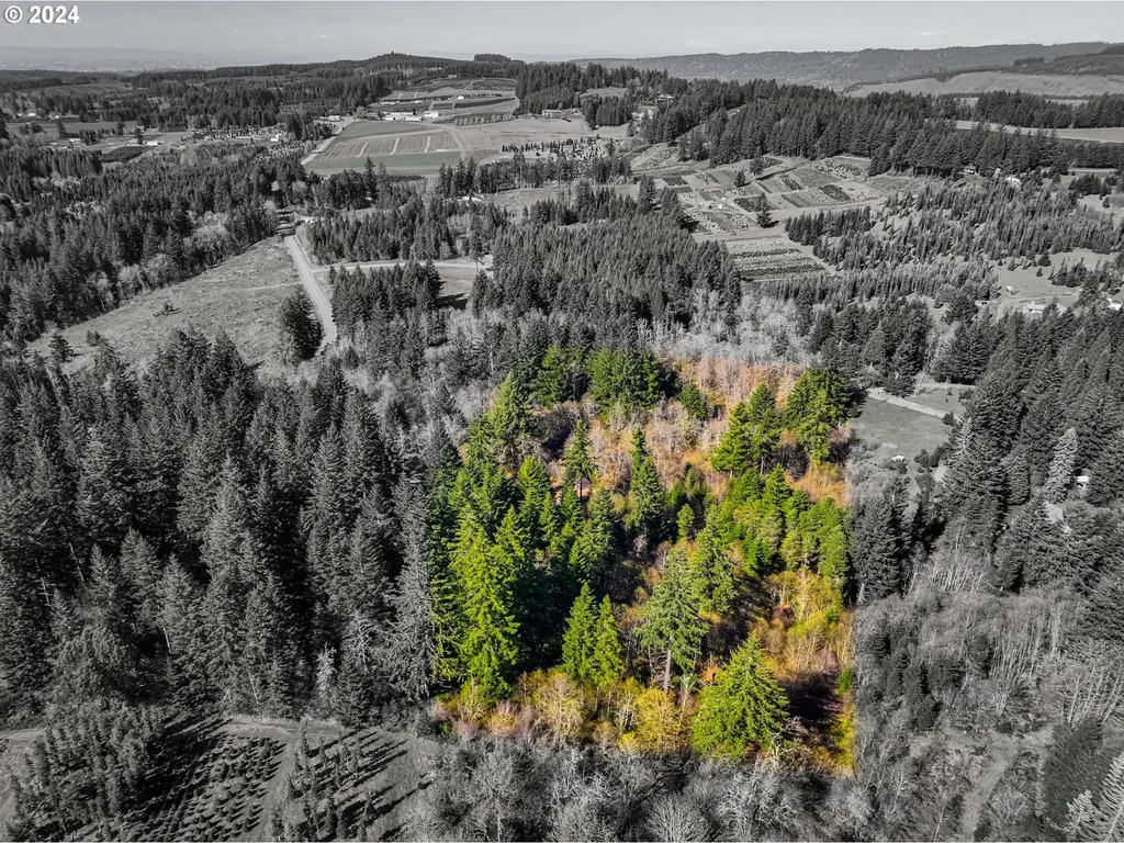 19890 Sharon Tony Way SE Silverton OR 97381