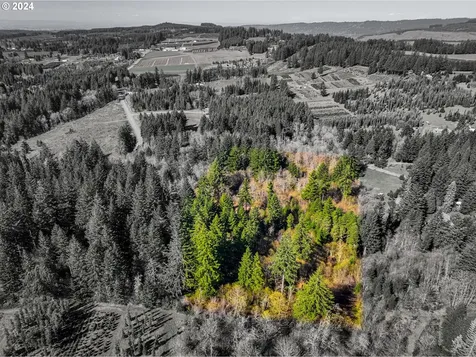 19890 Sharon Tony Way SE Silverton OR 97381