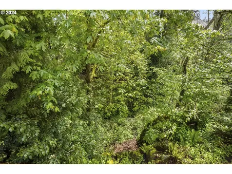 5345 Summit Street West Linn OR 97068