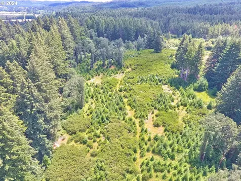 28250 Andy Riggs Road Grand Ronde OR 97347