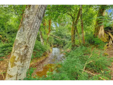 47266 SW Carpenter Creek Road Forest Grove OR 97116
