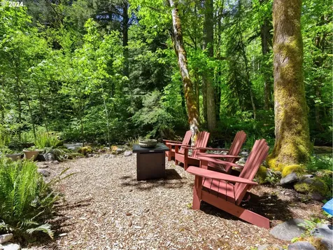19225 E Aschoff Road Rhododendron OR 97049