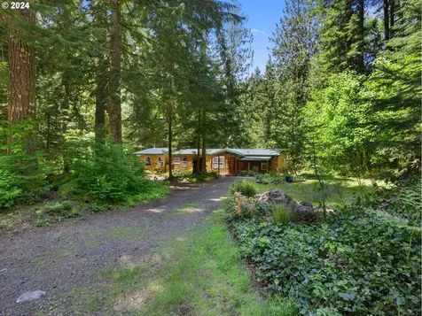19225 E Aschoff Road Rhododendron OR 97049