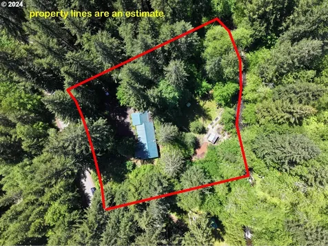 19225 E Aschoff Road Rhododendron OR 97049