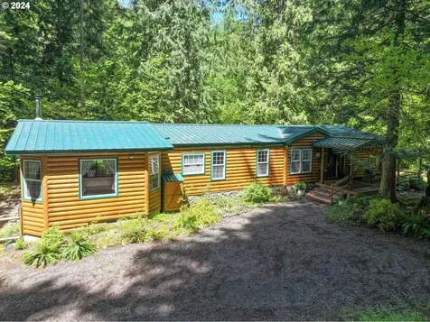 19225 E Aschoff Road Rhododendron OR 97049