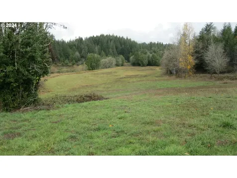 97744 Gravelford Lane Myrtle Point OR 97458