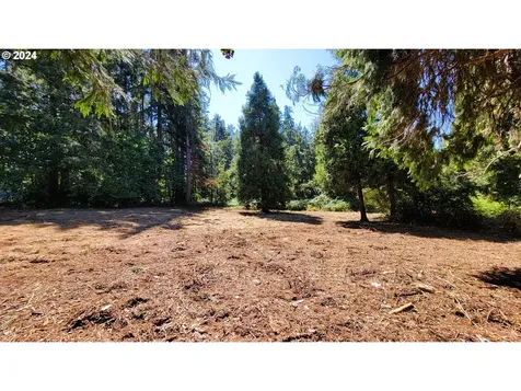 82578 Sprague Lane Dexter OR 97431