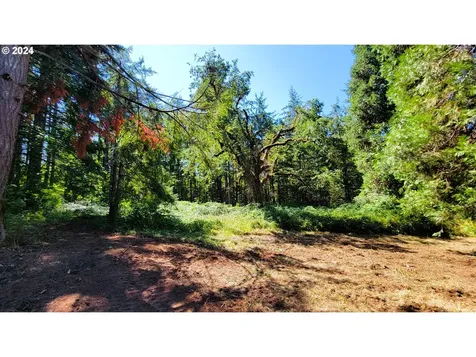82578 Sprague Lane Dexter OR 97431