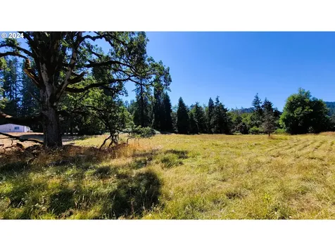 82578 Sprague Lane Dexter OR 97431