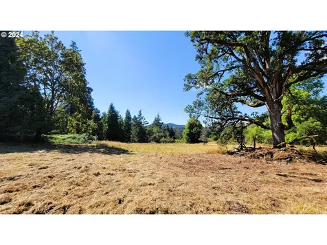82578 Sprague Lane Dexter OR 97431