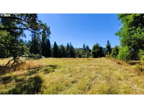 82578 Sprague Lane Dexter OR 97431