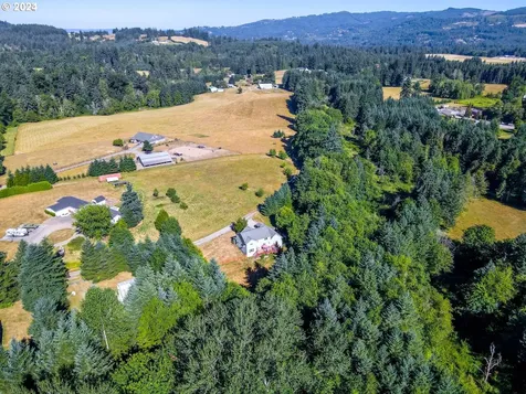 40715 NE 19th Avenue Woodland WA 98674