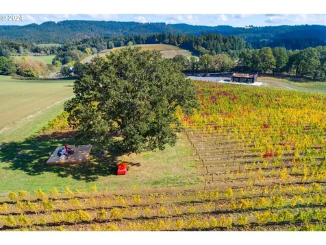 8085 NE Oak Springs Farm Road Carlton OR 97111