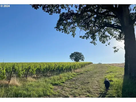 8085 NE Oak Springs Farm Road Carlton OR 97111