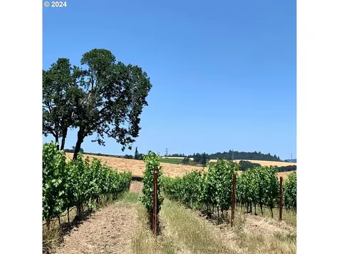 8085 NE Oak Springs Farm Road Carlton OR 97111