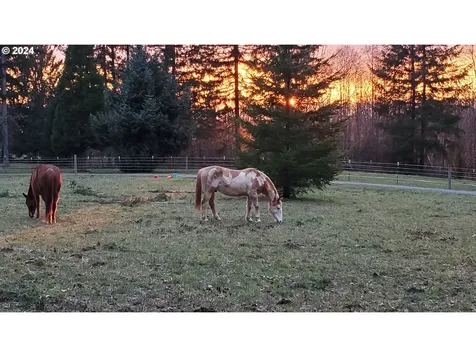 18930 Ne 234th Street Battle Ground WA 98604