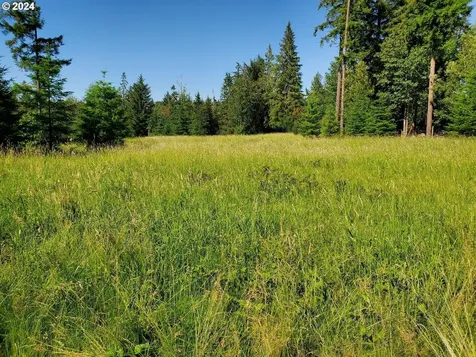 18930 Ne 234th Street Battle Ground WA 98604