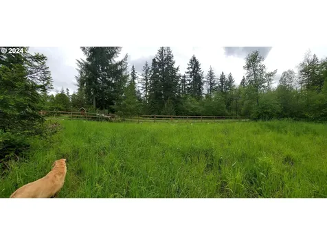 18930 Ne 234th Street Battle Ground WA 98604