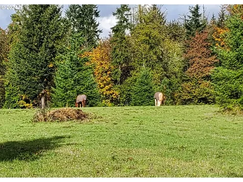18930 Ne 234th Street Battle Ground WA 98604