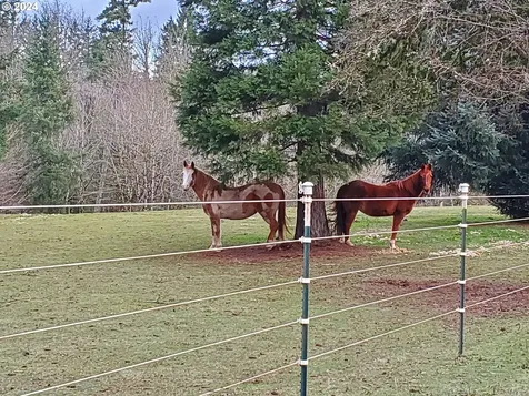 18930 Ne 234th Street Battle Ground WA 98604