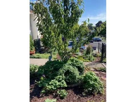 616 NW 10th Street Pendleton OR 97801