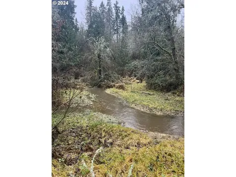 23320 Ne 10th Avenue Ridgefield WA 98642