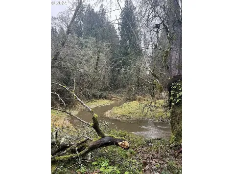 23320 Ne 10th Avenue Ridgefield WA 98642