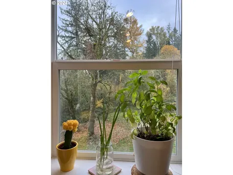 23320 Ne 10th Avenue Ridgefield WA 98642