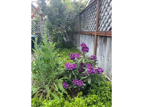 1953 NW Lamont Avenue Roseburg OR 97471