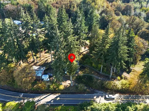 19110 Beaver Falls Road Clatskanie OR 97016