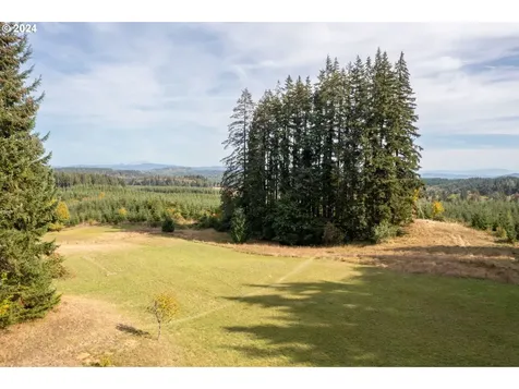 66228 Anliker Road Deer Island OR 97054