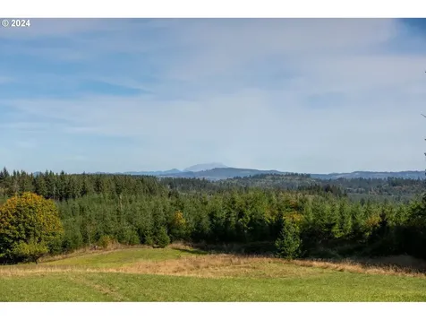 66228 Anliker Road Deer Island OR 97054