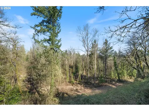 13475 Applegate Terrace Oregon City OR 97045