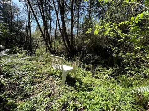 89915 Ben Bunch Road Florence OR 97439