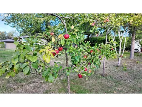 1585 SE 5th Street Gresham OR 97080