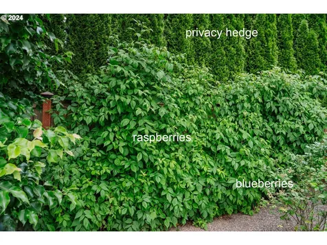 139 N 39th Court Ridgefield WA 98642