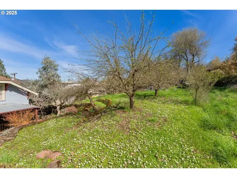 1619 SE Main Street Roseburg OR 97470