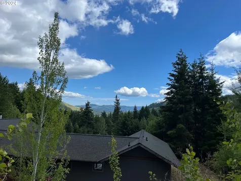 731 Upper Lakeview Road White Salmon WA 98672