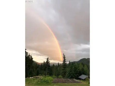731 Upper Lakeview Road White Salmon WA 98672