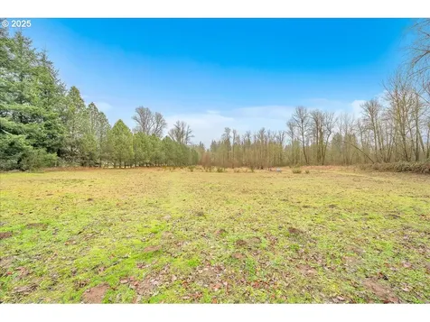 91 River Rock Lane Woodland WA 98674