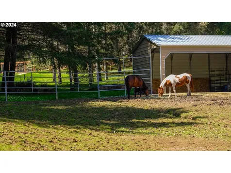 19909 Sw Meadow View Drive Mcminnville OR 97128