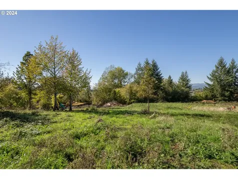 3406 SE Amity Dayton Highway Amity OR 97101