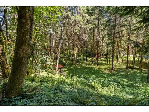 41607 Ne 12th Avenue Woodland WA 98674