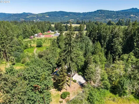 41607 Ne 12th Avenue Woodland WA 98674