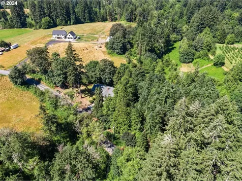 41607 Ne 12th Avenue Woodland WA 98674